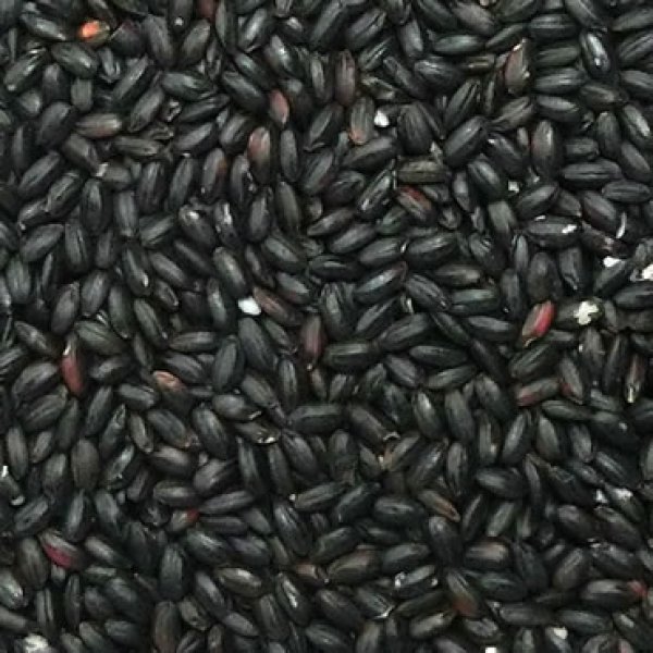 国内産　万糧米穀　古代米　公式サイト　黒米　500g