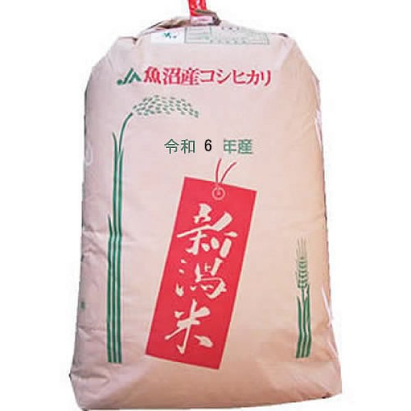 画像1: 【精米料無料】令和6年産 新潟県魚沼産コシヒカリ JA十日町 1等玄米30kg 白米・無洗米加工保存包装　対応可 (1)