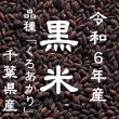 画像1: 令和6年産 黒米 千葉県産 10kg 品種：くろあかり 若干高温障害がございます (1)